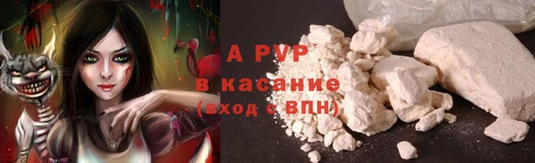 ECSTASY Белокуриха