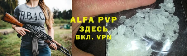 ECSTASY Белокуриха