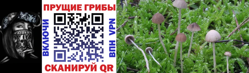 MEGA ссылки  Великие Луки  Псилоцибиновые грибы GOLDEN TEACHER  где продают  